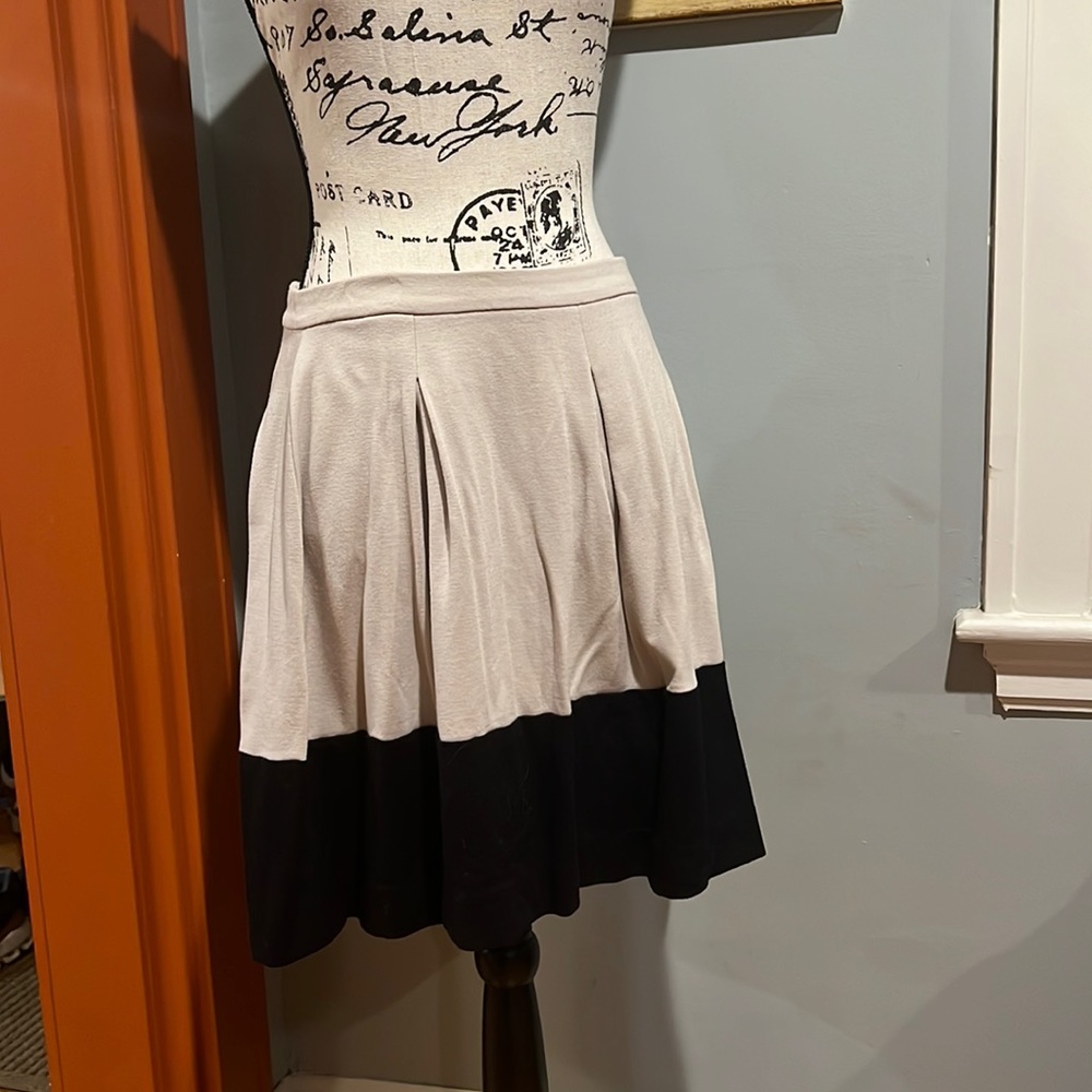 Express Darted Pleat Two-Tone Skirt (8)
